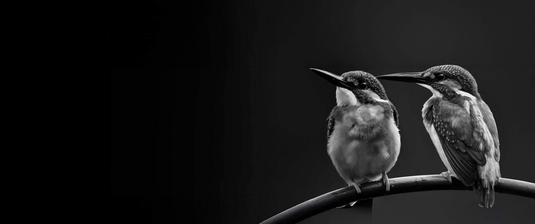 Cgt Banner Investment Approach